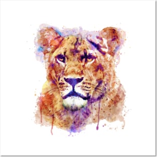 Lioness Head Posters and Art